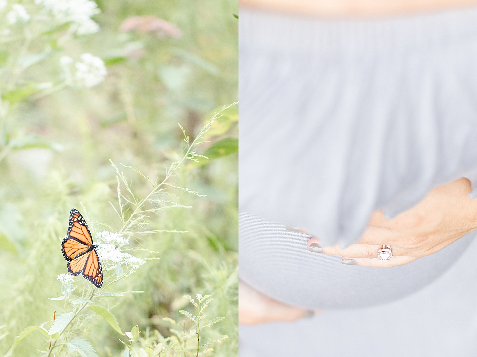detail shot close up of a butterfly on a flower and close up detail shot of a baby mom mom wearing grey maxi dress for maternity pictures