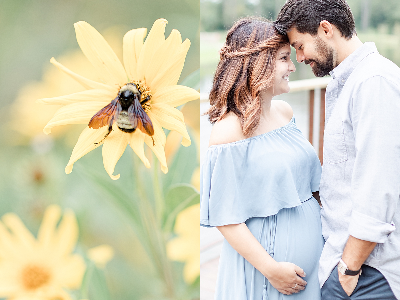 detail shot of a yellow flower and a bumble bee at memorial park and picture of husband and wife looking at one another forehead to forehead holding onto baby bump during rainbow baby maternity session
