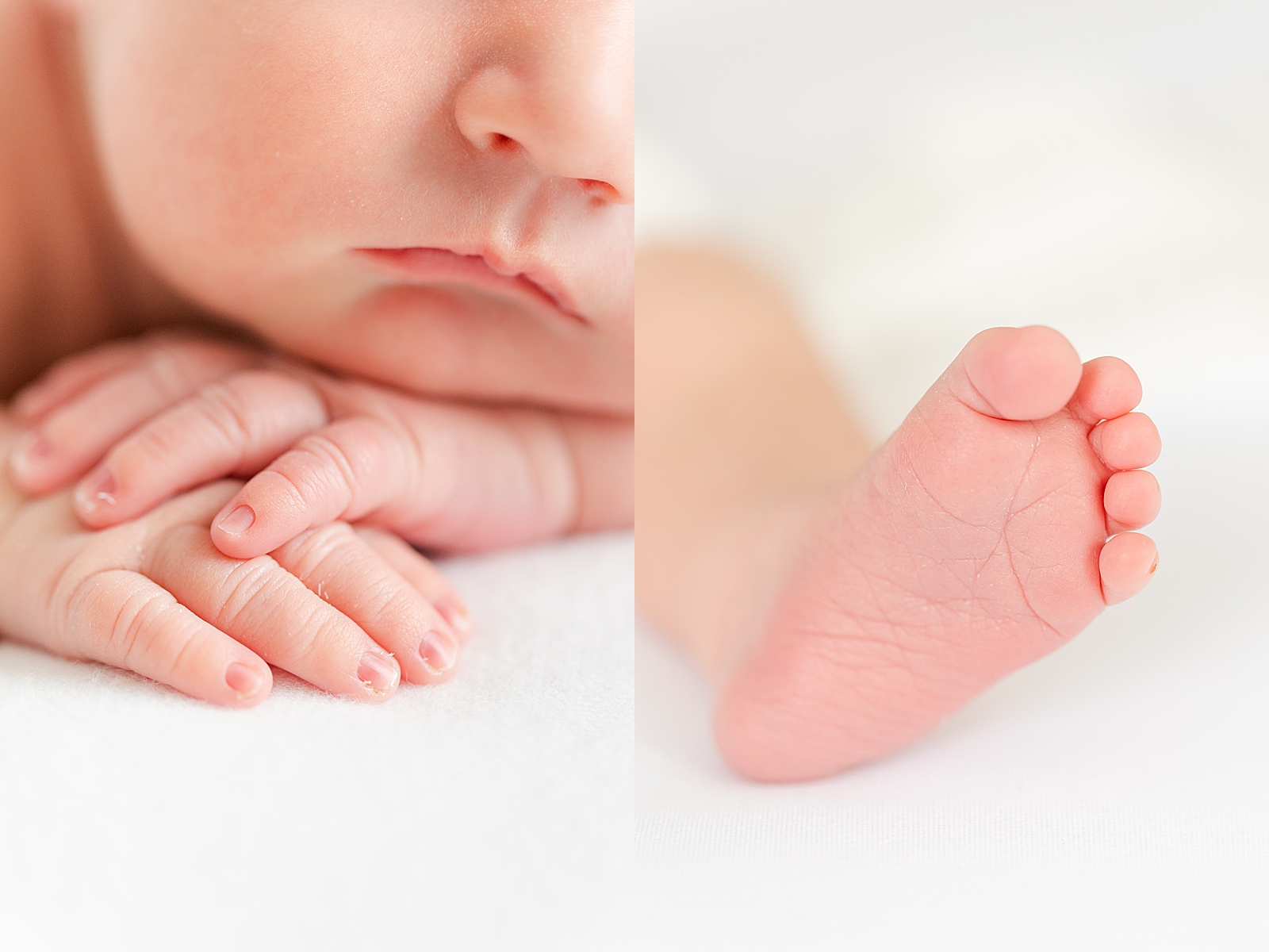 Detail shots of baby fingers lips nose and toes during newborn photo session