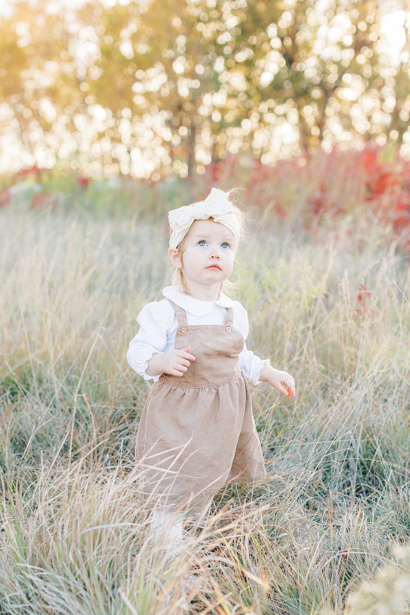 A young toddler girl in a brown dress looks up at some trees while wandering a field of tall grass at sunset